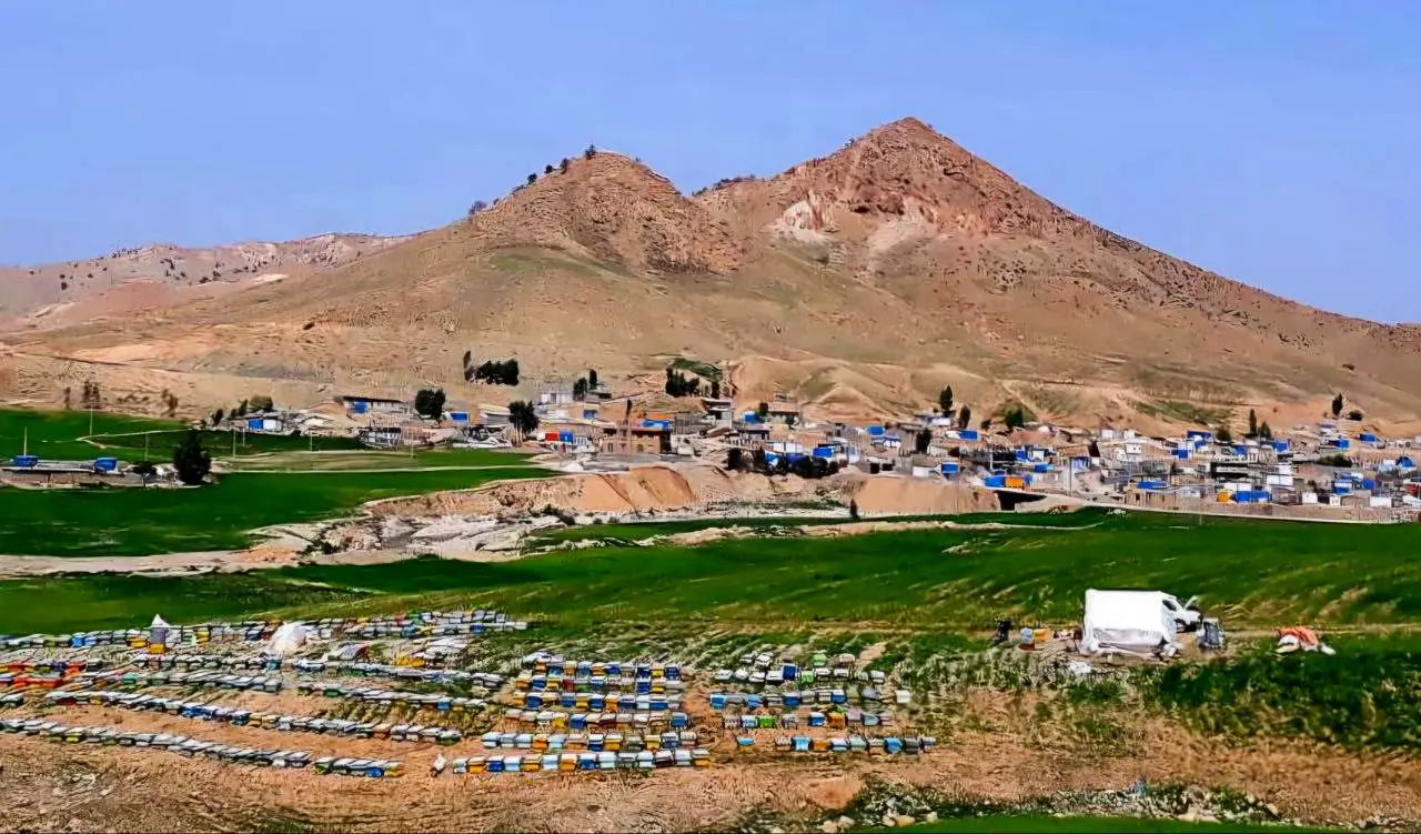 زندگی برای بسیاری فاصله بین آن دو زلزله بود