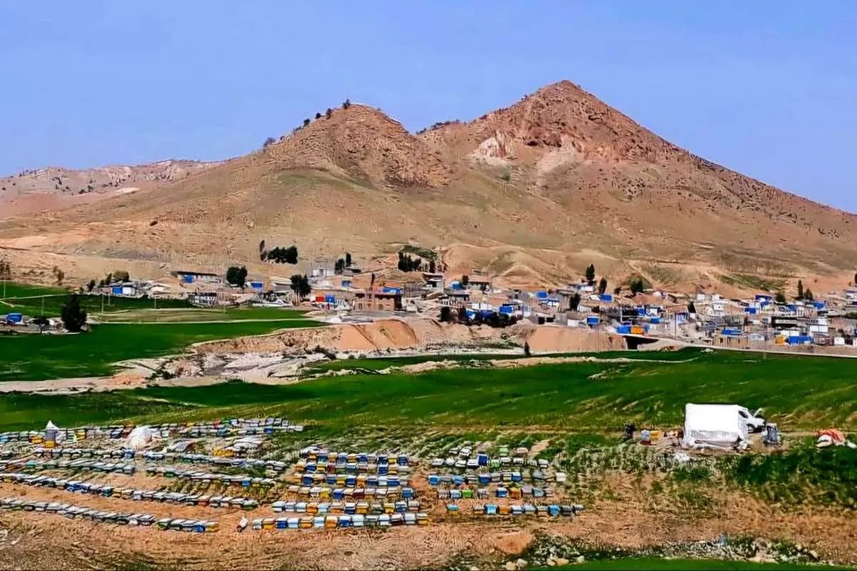 زندگی برای بسیاری فاصله بین آن دو زلزله بود
