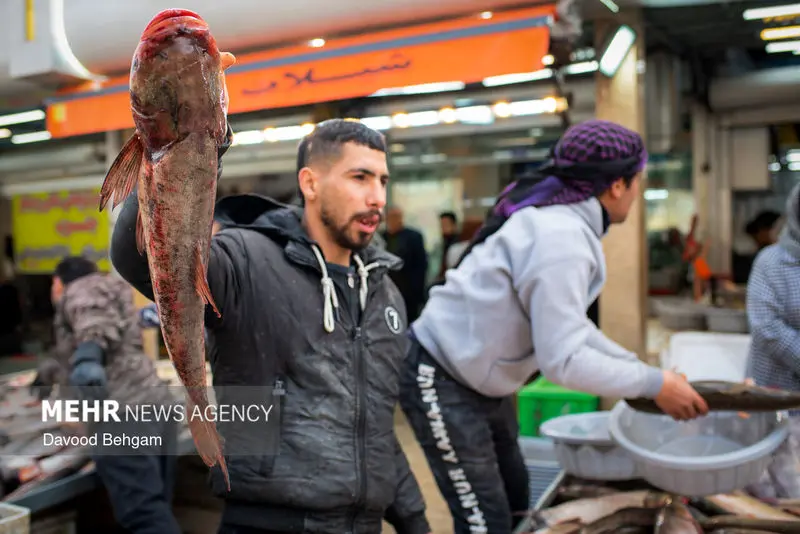 نوروز ۱۴۰۵ ۴