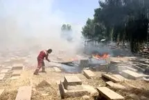 قبرستان تاریخی شیراز در آتش بی‌توجهی سوخت