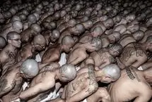 انتقال هزاران عضو باندهای تبهکار به زندان مخوف السالوادور

