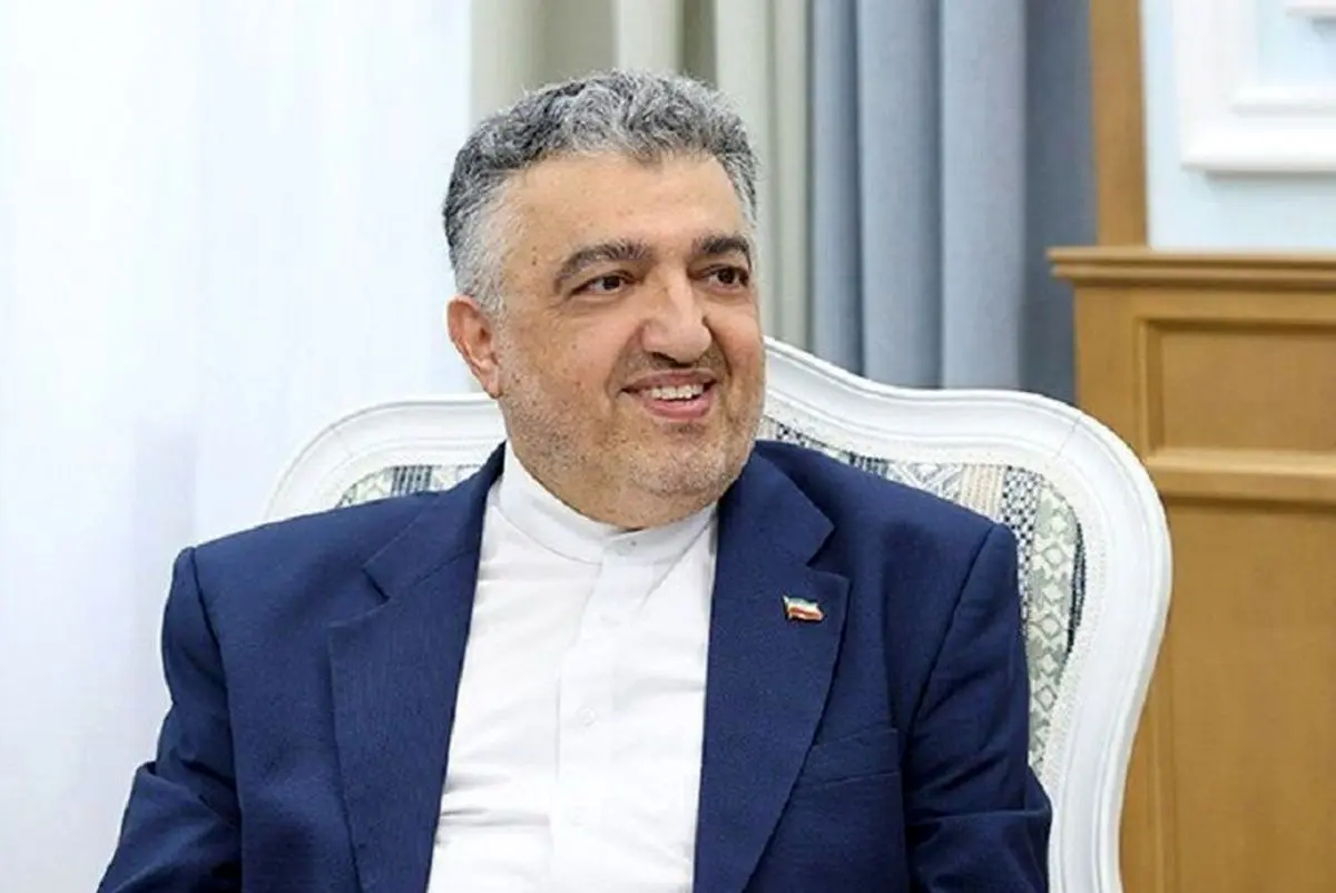 سفیر ایران: پیشنهادات بسیار خوبی در مورد برنامه هسته‌ای ارائه کردیم