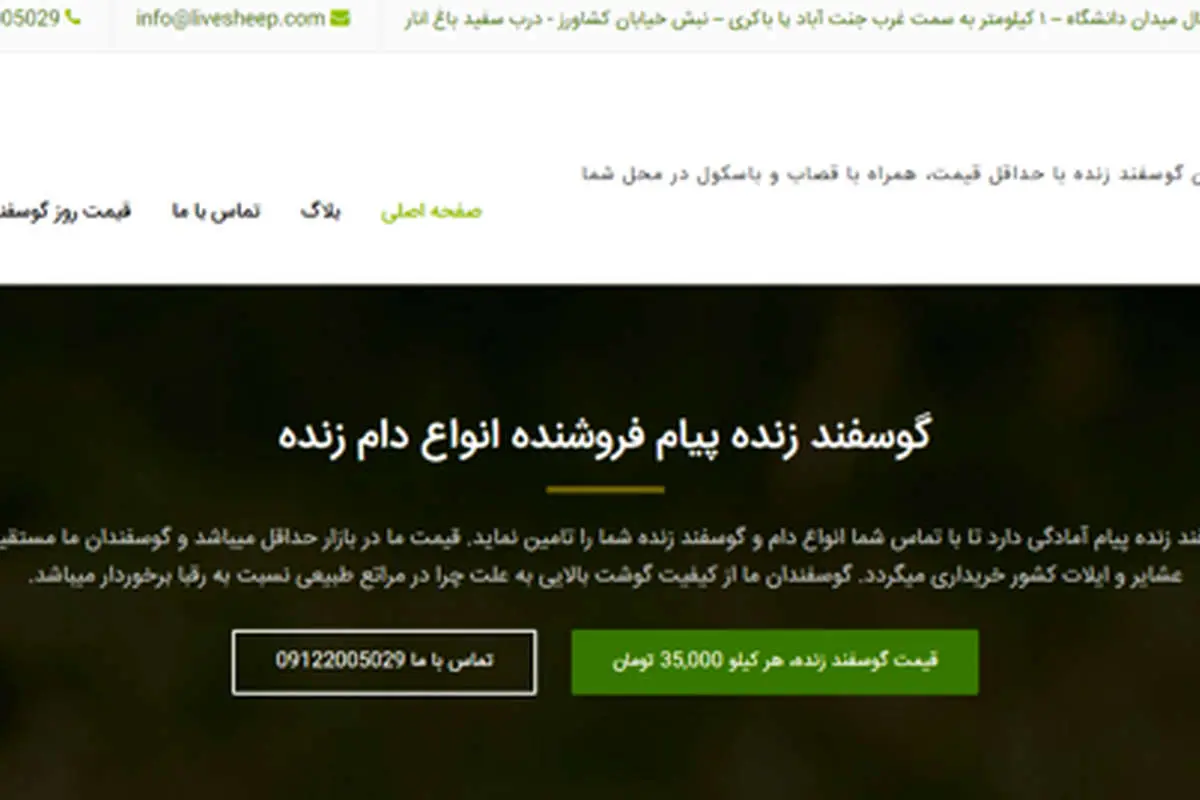 گوسفند زنده را در تهران اینترنتی خریداری کنید