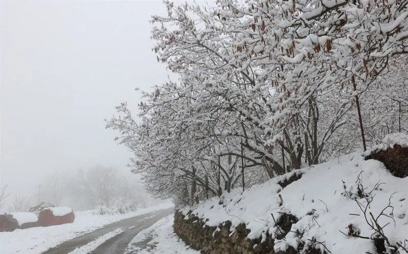 آخرین وضعیت راه‌ها؛ بارش و باران در جاده‌های ۸ استان