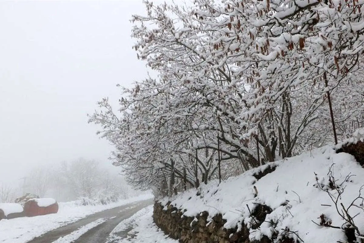 آخرین وضعیت راهها؛ بارش و باران در جادههای ۸ استان