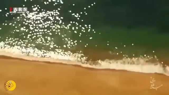 (ویدئو) پیشنهاد نوروزی؛ برید به درک!