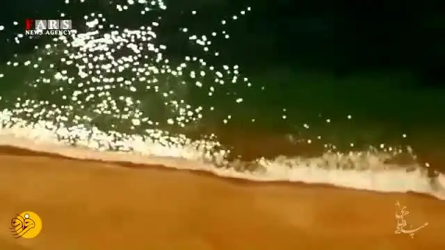 (ویدئو) پیشنهاد نوروزی؛ برید به درک!