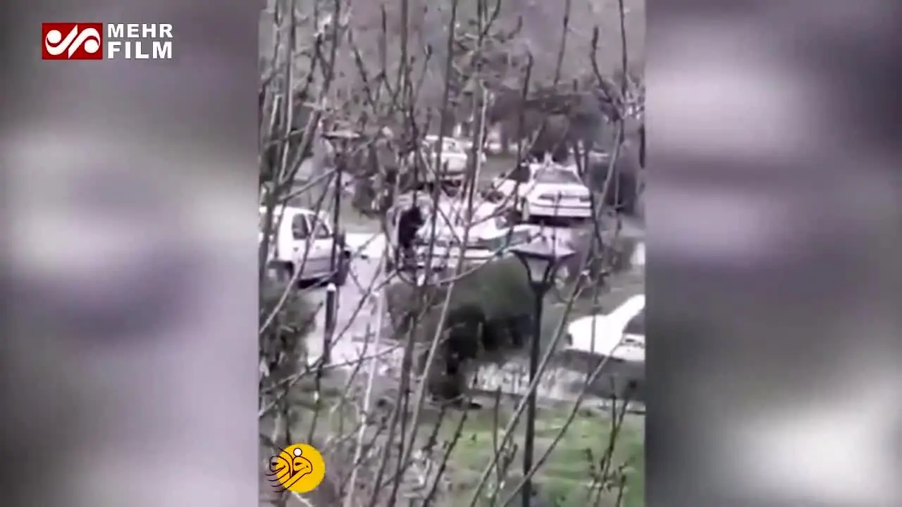 (ویدئو) فیلمی از لحظه شهادت دو تن از ماموران ناجا