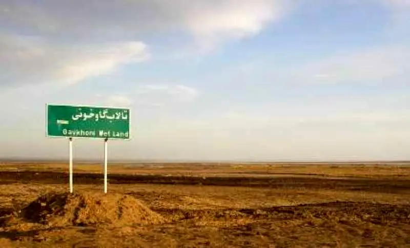 تالاب گاوخونی بعد از ۱۵ سال احیا شد