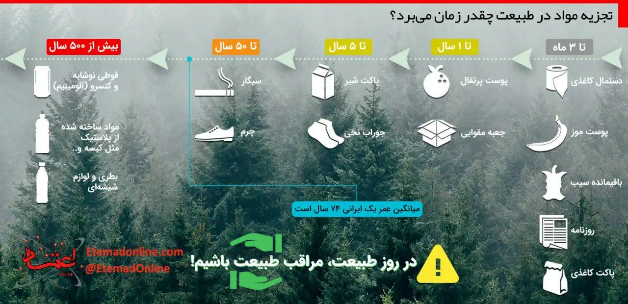 تجزیه مواد در طبیعت چقدر زمان می‌برد؟