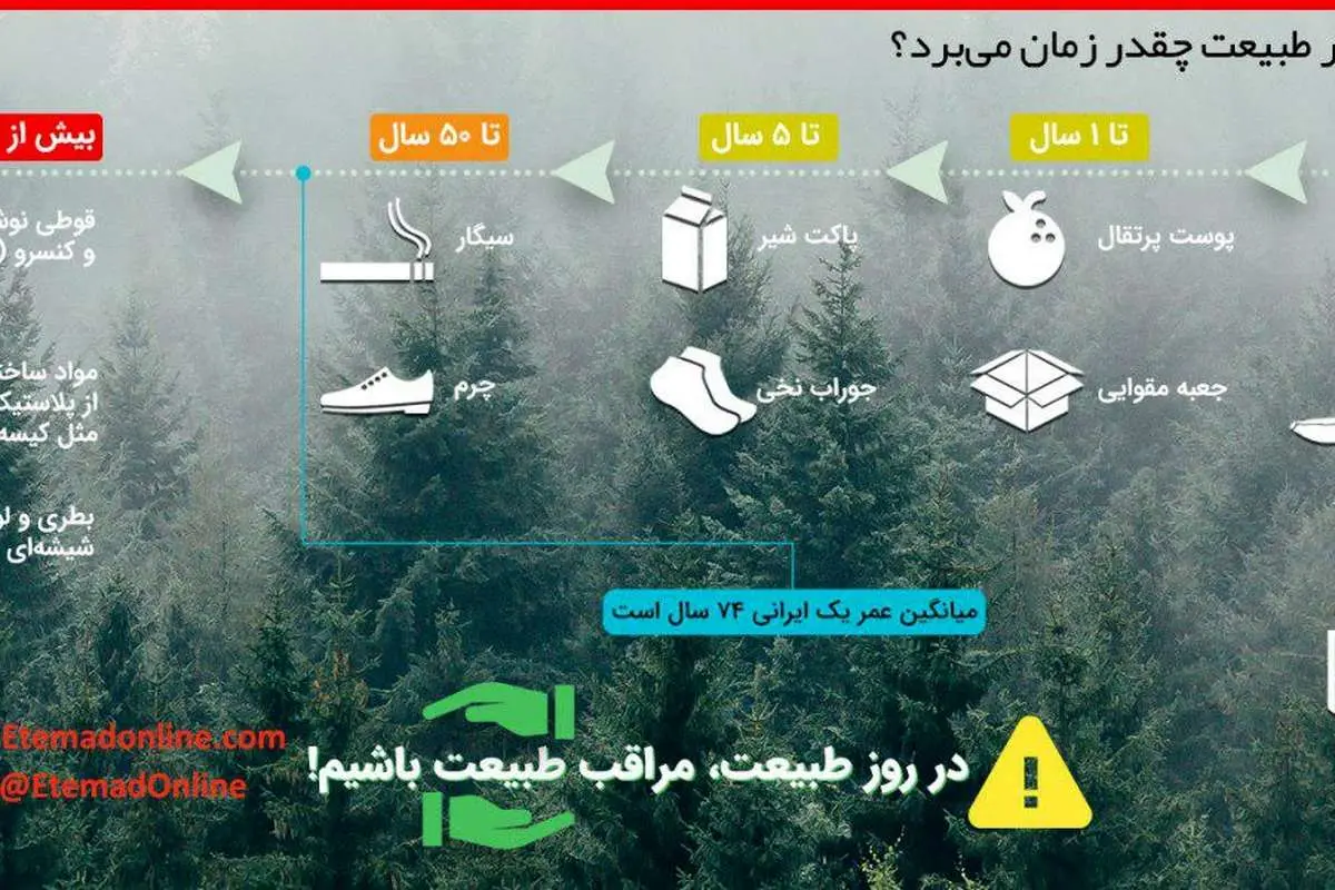 تجزیه مواد در طبیعت چقدر زمان میبرد؟