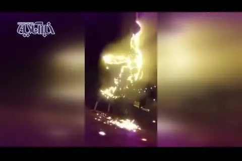 ماجرای آتش زدن طاووس دروازه قرآن شیراز