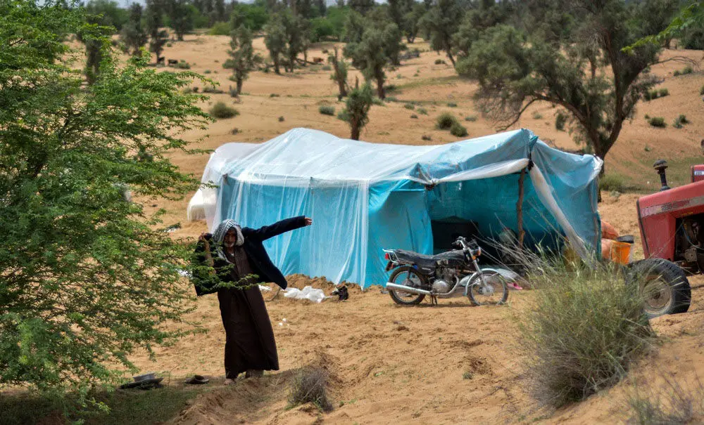 (تصاویر) جنگل «خَسرَج» پناهگاه سیل‌زدگان حمیدیه