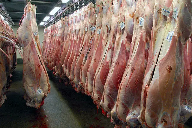 جزئیات شیوه جدید توزیع گوشت
