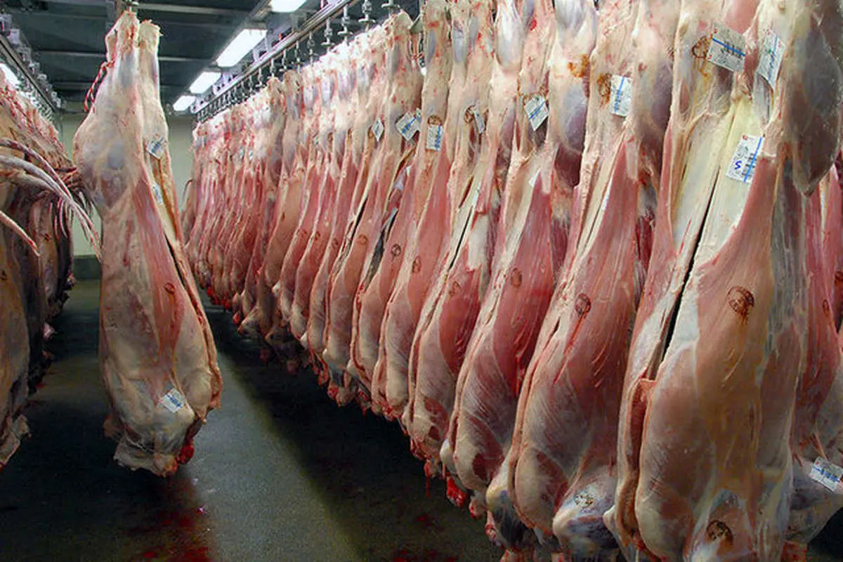 جزئیات شیوه جدید توزیع گوشت