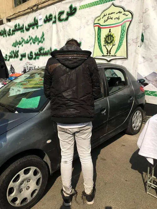 شرط بندی داماد و خواهر زن برای سرقت خودروهای ٢٠٦