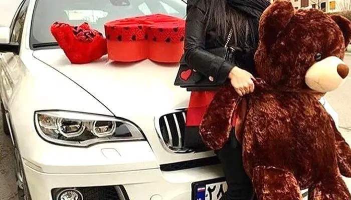 سرقت از دختر معروف اینستاگرامی با ماشین لاکچری!
