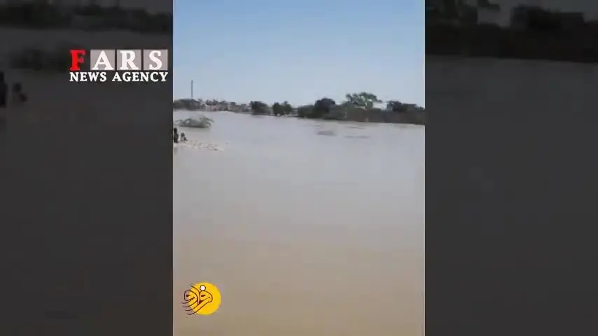 (ویدئو) نجات سگ گرفتار در سیل پس از ۳ روز