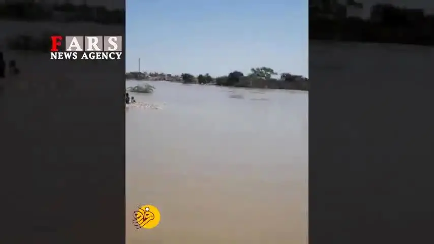 (ویدئو) نجات سگ گرفتار در سیل پس از ۳ روز