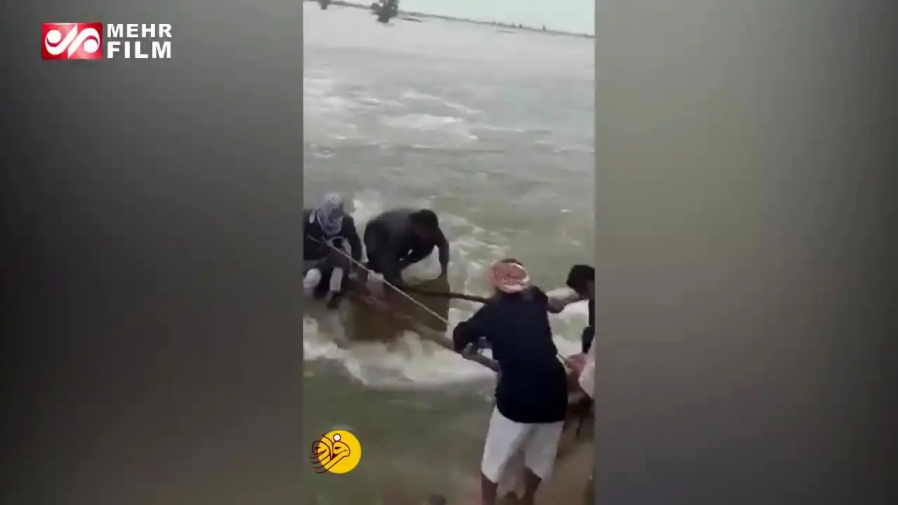 (ویدئو) نجات پیرمرد گرفتار در سیل بامدژ خوزستان