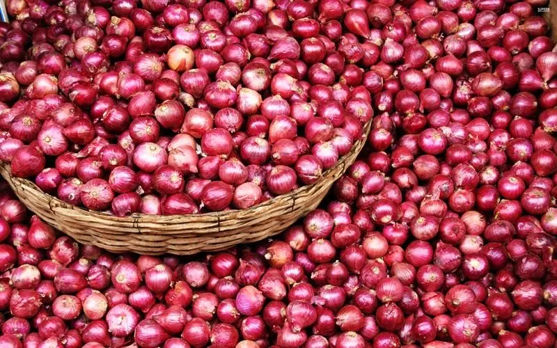 افزایش قیمت پیاز ادامه دارد؛ یک قدم مانده تا موز!