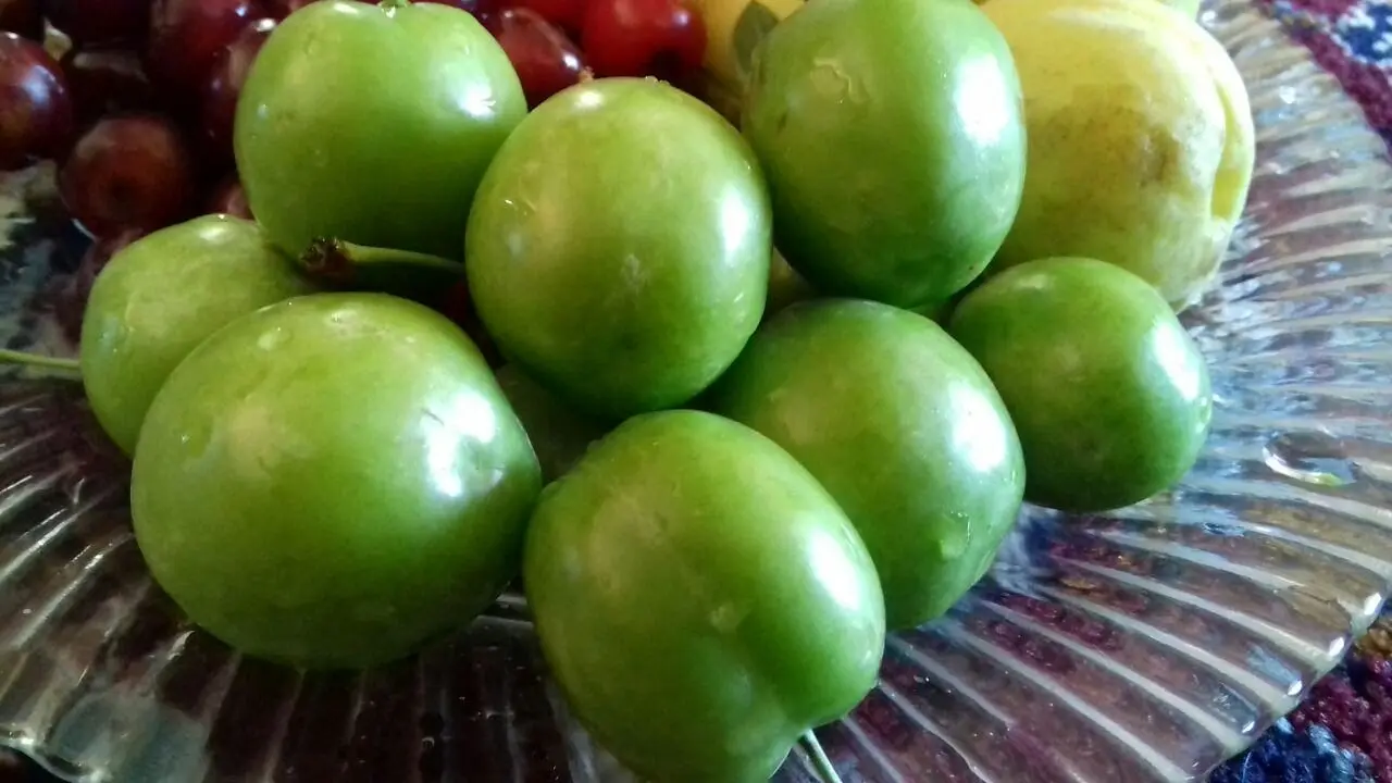گوجه‌سبز نوبرانه، کیلویی ۹۰هزار تومان