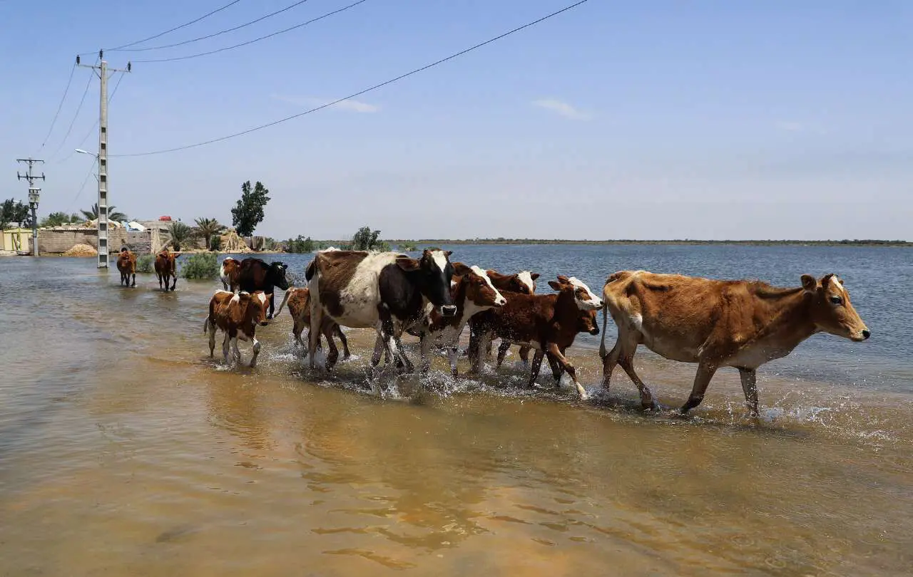 (تصاویر) روستای سیل‌زده «ابوشلوگ» در شادگان