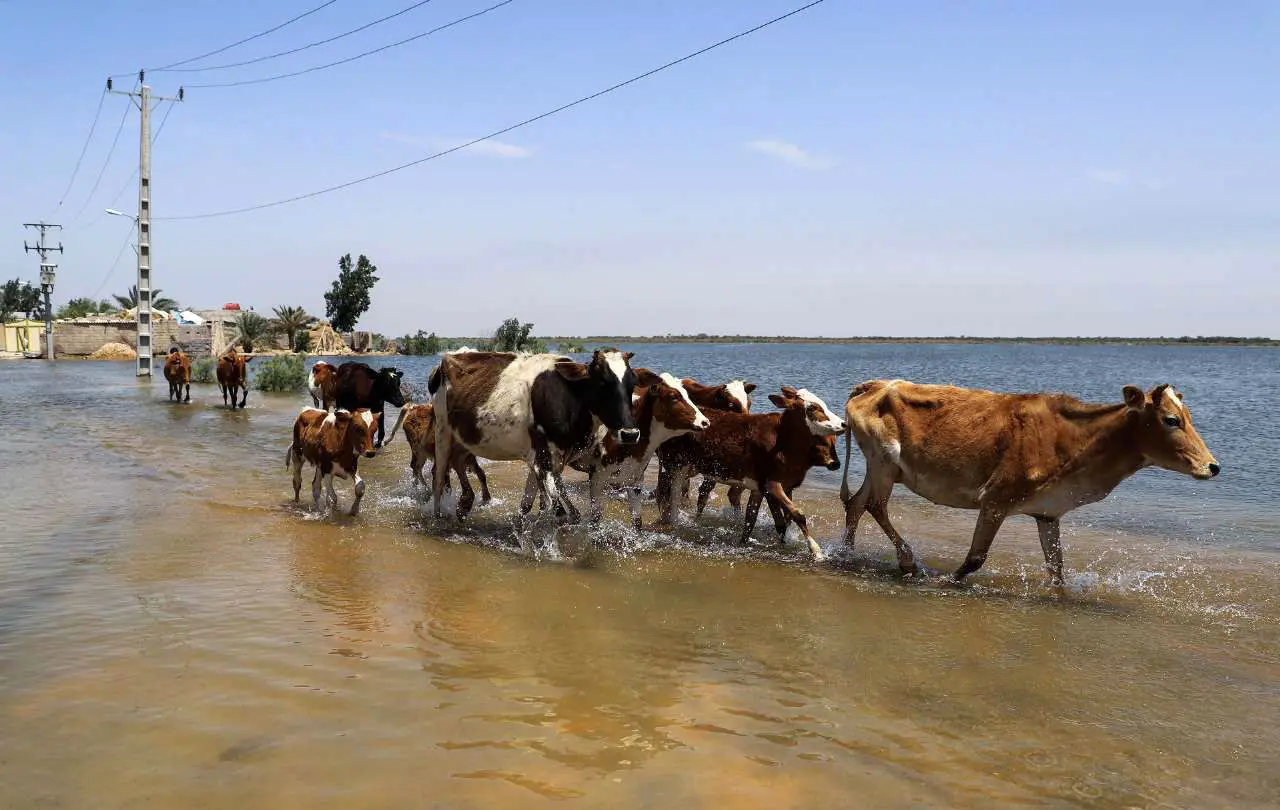 (تصاویر) روستای سیل‌زده «ابوشلوگ» در شادگان
