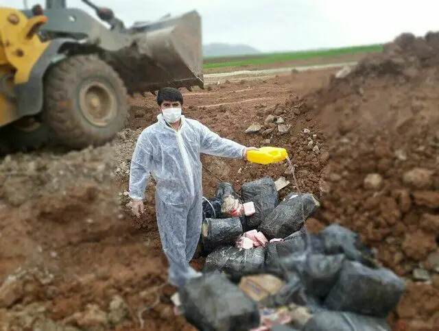 (تصویر) کشف 300 کیلو "جگر" قاچاق زیر شن و سنگ!