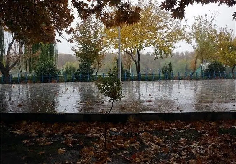 باد و باران در تهران ادامه دارد