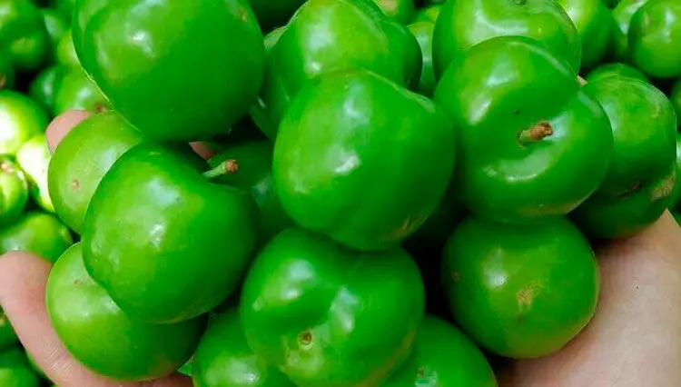 شایعه در سرزمین گوجه‌های‌سبز