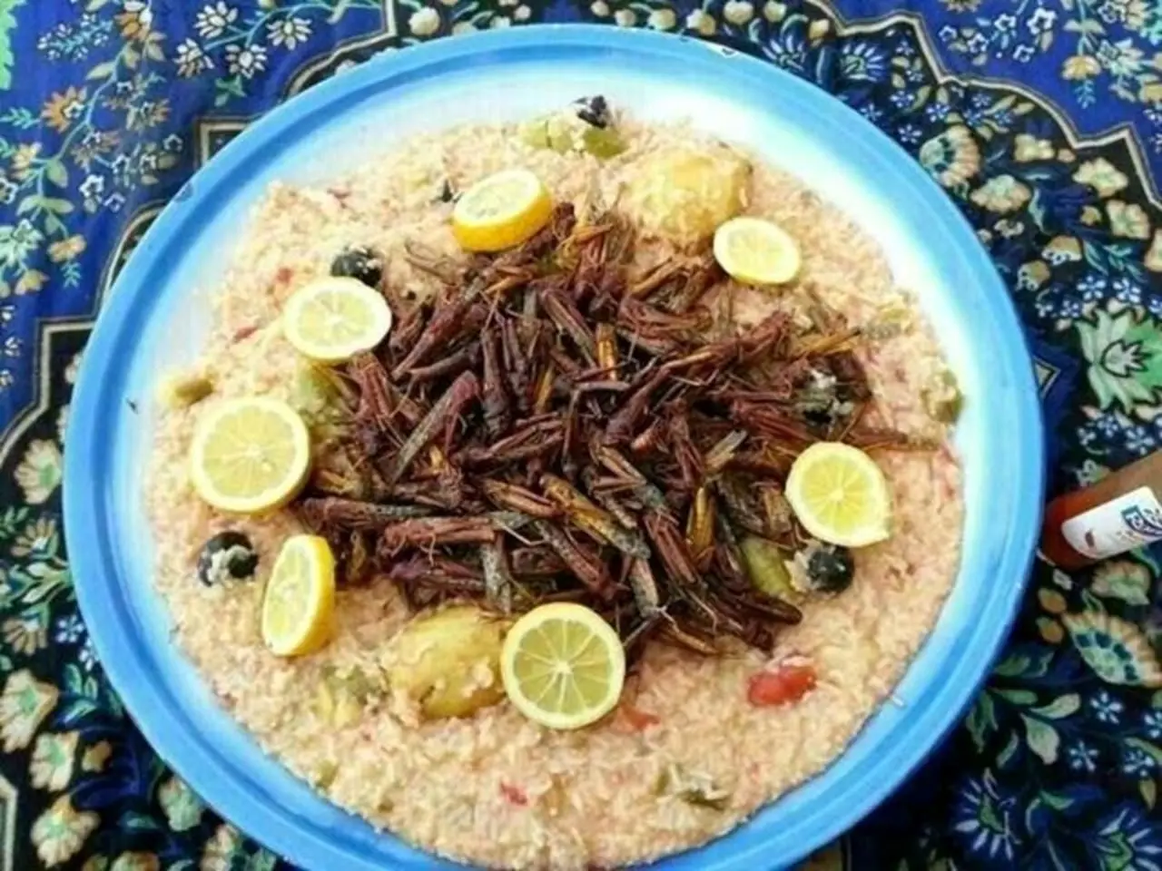 ملخ، نوبرانه بهاری پرخاصیت یا خوردنی چندش‌آور!