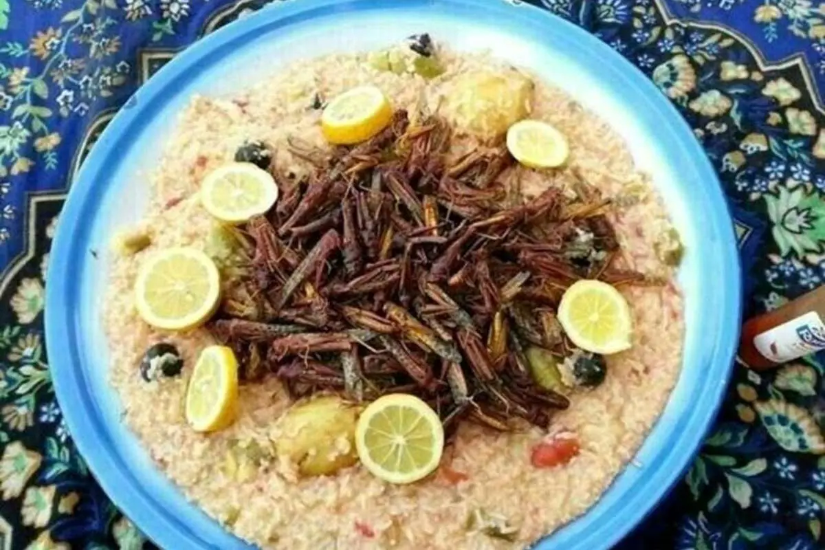 ملخ، نوبرانه بهاری پرخاصیت یا خوردنی چندشآور!