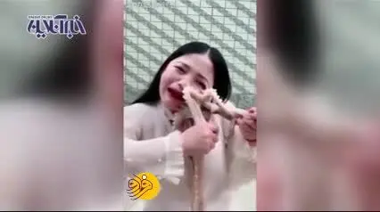 (ویدئو) خوردن اختاپوس زنده برای جذب مخاطب!