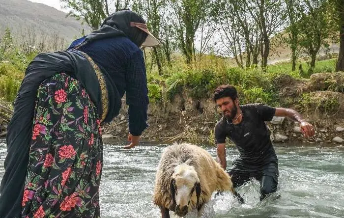 (تصاویر) زنان ایل قشقایی در روز‌های سخت کوچ