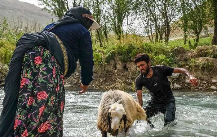 (تصاویر) زنان ایل قشقایی در روز‌های سخت کوچ