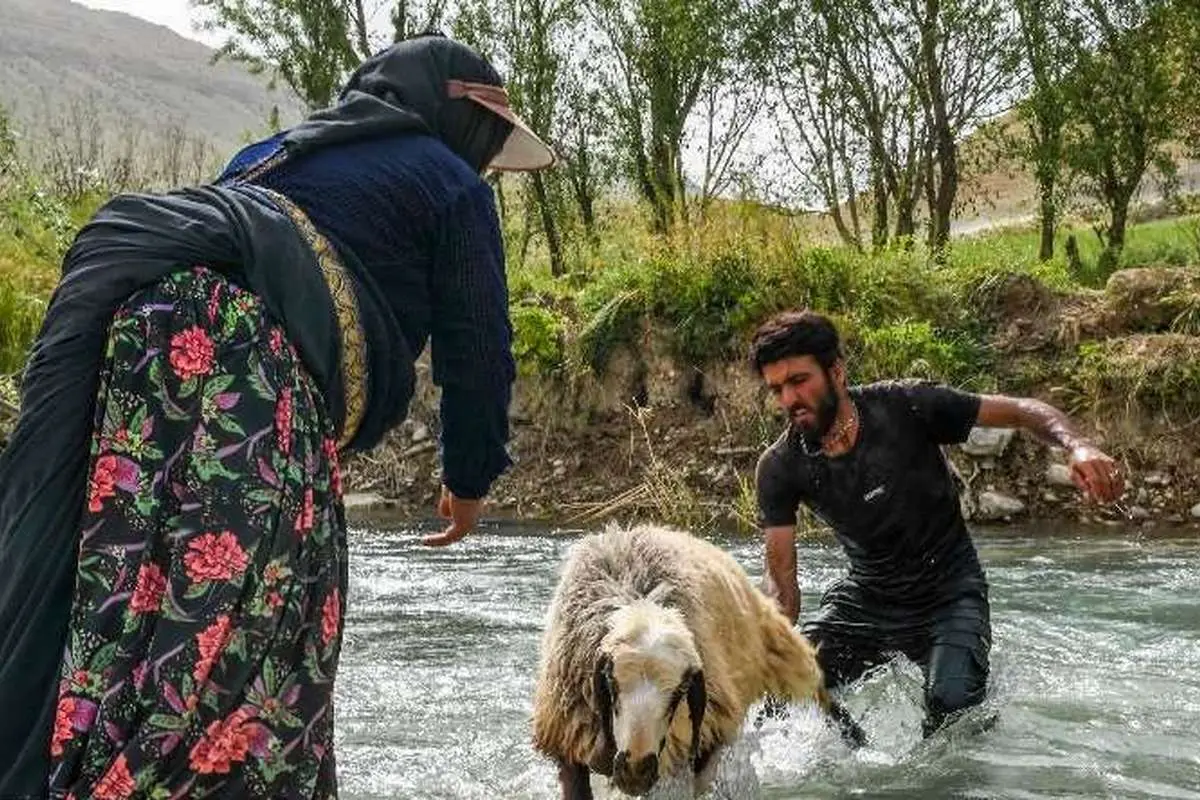 (تصاویر) زنان ایل قشقایی در روزهای سخت کوچ