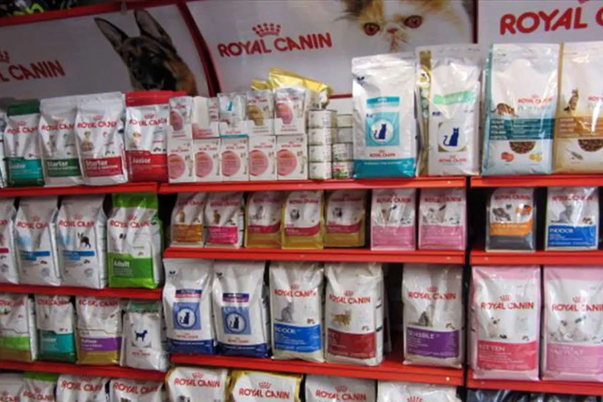 واردات غذای سگ و گربه ۵ برابر شد!