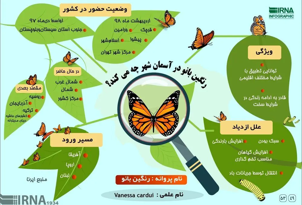 (اینفوگرافیک) پروانه‌ها در تهران چه می‌کنند؟