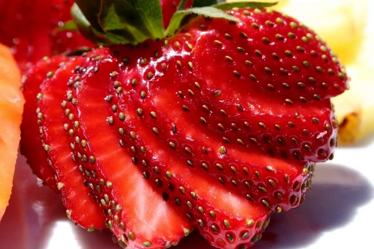 ۵ میوه تابستانی برای کنترل فشارخون