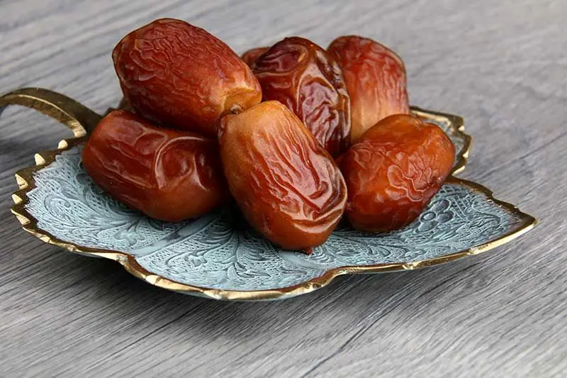 جدیدترین قیمت انواع خرما در آستانه رمضان