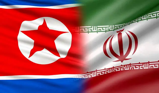 یک هیئت سیاسی کره شمالی عازم ایران شد