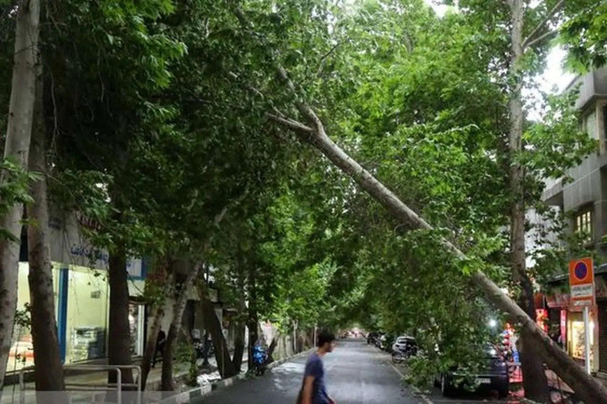 طوفان در تهران و ۶ استان دیگر از عصر جمعه