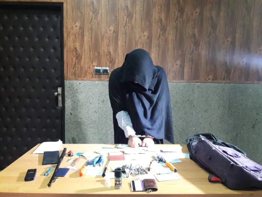 بازداشت دختری که با مدرک فوق لیسانس دزدی می‌کرد!