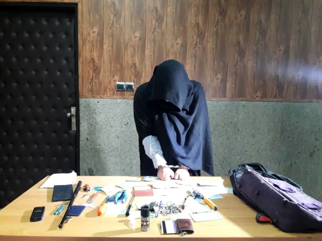 بازداشت دختری که با مدرک فوق لیسانس دزدی می‌کرد!