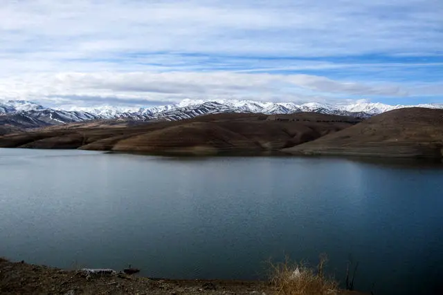 ورکانه؛ عروس چشم سیاه الوند