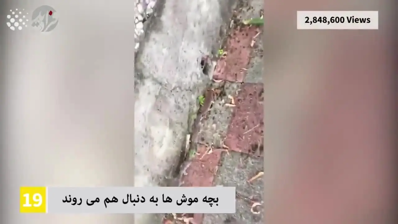 (ویدئو) ۴۰ ویدئوی پربازدید یوتیوب در سال گذشته