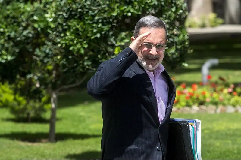 ربیعی: علت استعفای بطحایی شرکت در انتخابات مجلس بود
