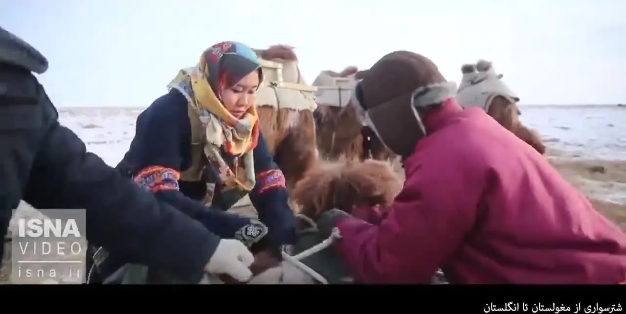 (ویدئو) رکوردزنی با شتر، از مغولستان تا انگلستان