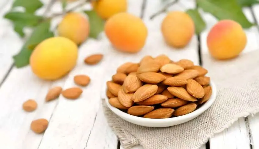 آیا مغز هسته زردآلو به درمان سرطان کمک می‌کند؟